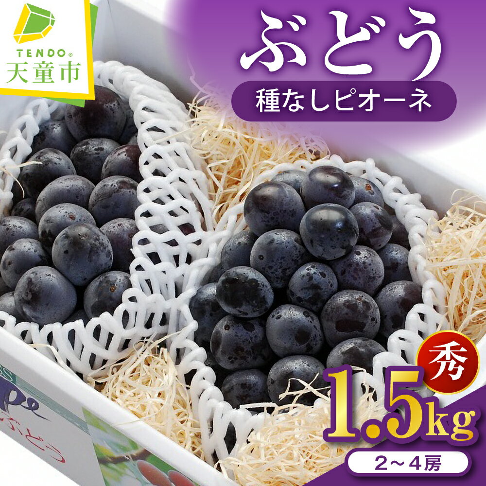 【ふるさと納税】ぶどう ( 種なし ピオーネ ) 1.5kg 秀2～4房 種無し 大粒 令和8年産 先行予約 2026年 葡萄 人気 おすすめ フルーツ 果物 くだもの 山形 お取り寄せ 産地直送 送料無料 【 山形県 天童市 】