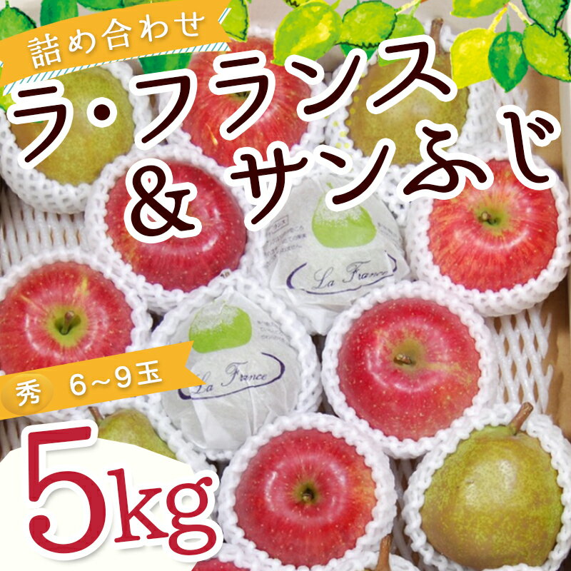 【ふるさと納税】【数量限定】ラ・フランス & サンふじ 詰合せ 5kg ふじ りんご ラフランス 洋梨 西洋梨 果物 フルーツ 秀 各 6玉 〜 9玉 ご家庭用 のし 贈答 ギフト プレゼント おすそ分け お取り寄せ 旬 秋 冬 期間限定 送料無料 先行予約 【 山形県 天童市 】