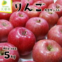 【ふるさと納税】りんご ( 大玉 サンふじ ) 5kg ふじ りんご 果物 フルーツ 秀 12玉 〜 14玉 ご家庭用 のし 贈答 ギフト プレゼント おすそ分...
