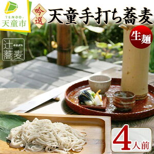【ふるさと納税】 吟選 天童 手打ち 蕎麦 生麺 生麺 120g×4人前 そば ソバ そばつゆ 蕎麦はっと はっとう 郷土料理 ご家庭用 のし 贈答 ギフト お取り寄せ ご当地グルメ 冷凍 やまがたさくらんぼファーム 送料無料 お中元 【 山形県 天童市 】