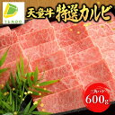 【ふるさと納税】天童牛 特選 カルビ 三角ばら 600g国産 黒毛和牛 和牛 牛肉 ブランド牛 山形牛 超希少部位 贈答用 お中元 お歳暮 ギフト プレゼント お取り寄せ ご当地 グルメ 食品 冷凍 冷蔵…