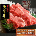 山形県天童市の画像2