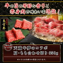 山形県天童市の画像3