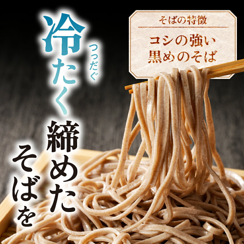 【ふるさと納税】鴨だし つけそば 20人前乾麺 そば 蕎麦 鶏そば とりそば 麺類 やや 太め 常温保存 贈り物 ギフト お取り寄せ ご当地グルメ 送料無料【山形県 天童市】