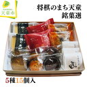 【ふるさと納税】 将棋駒 のまち 天童 銘菓 選 5種類 15個入り 焼菓子 和菓子 カステラ 詰め合わせ セット のし 贈答 ギフト プレゼント ご当地 スイ...