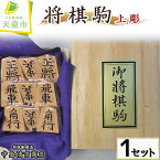 【ふるさと納税】 将棋駒 ( 上彫 )駒 イタヤ楓材 上彫 成駒の文字 黒色 伝統工芸 将棋 しょうぎ 送料無料 【 山形県 天童市 】