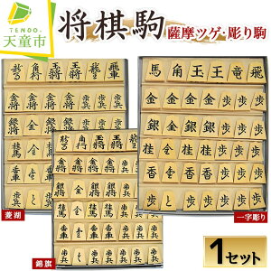 【ふるさと納税】 将棋駒 ( 薩摩ツゲ ・ 彫り駒 )駒 薩摩ツゲ 彫り駒 成駒 黒色 外箱 桐箱 駒袋 書体 菱湖 錦旗 水無瀬 源平衛清安 鵞堂 清安 一字彫 伝統工芸 のし 贈答 お祝い 贈り物 ギフト 将棋 しょうぎ 送料無料 【 山形県 天童市 】