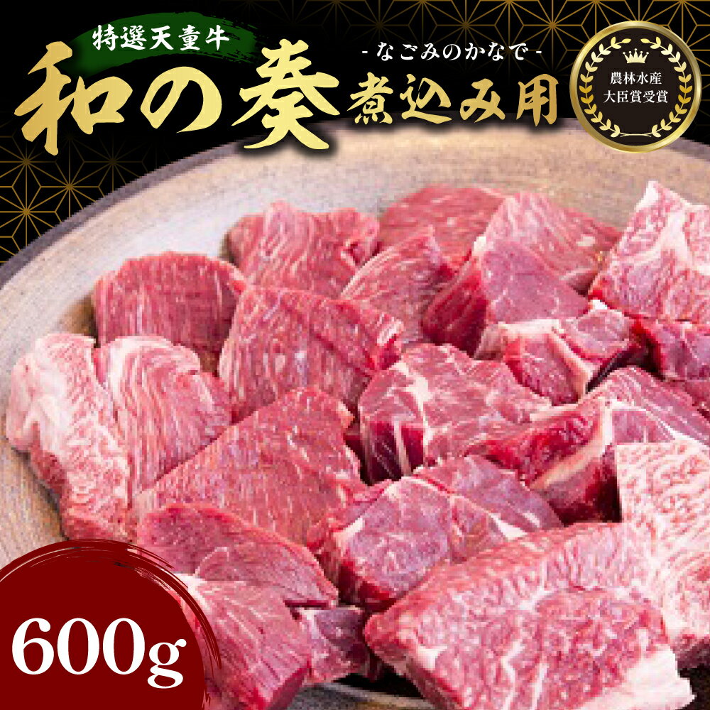 【ふるさと納税】 農林水産大臣賞受賞 特選 天童牛 " 和の奏 " 煮込み 用 600g国産 黒毛和牛 和牛 牛肉 オリジナル ブランド牛 山形牛 肉 ビーフカレー ビーフシチュー ポトフ 国産飼料 ご家庭用 お取り寄せ グルメ 冷凍 送料無料 【 山形県 天童市 】のサムネイル