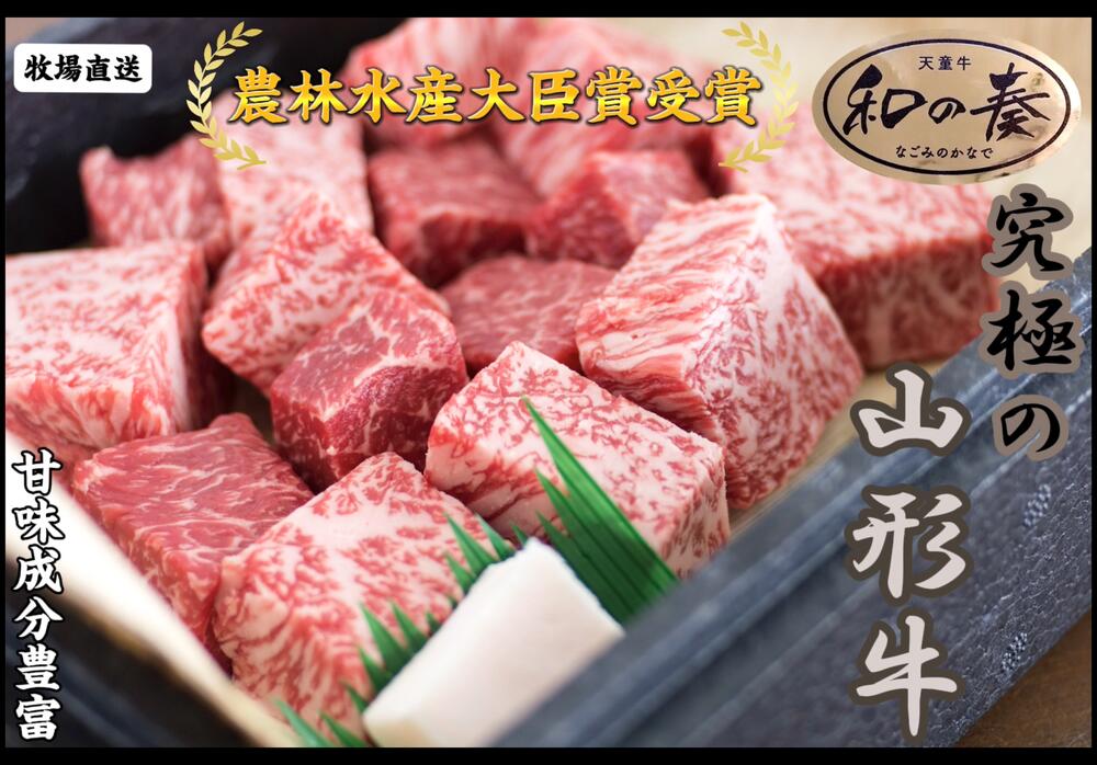 【ふるさと納税】 農林水産大臣賞受賞 特選 天童牛 " 和の奏 " 角切り ステーキ 500g 国産 黒毛和牛 和牛 牛肉 ブランド牛 山形牛 国産飼料 ご家庭用 のし 贈答 ギフト お取り寄せ グルメ 冷凍 送料無料 なごみ農産 【 山形県 天童市 】 f062103-tendo-10000202 山形県天童市 サンプル画像2