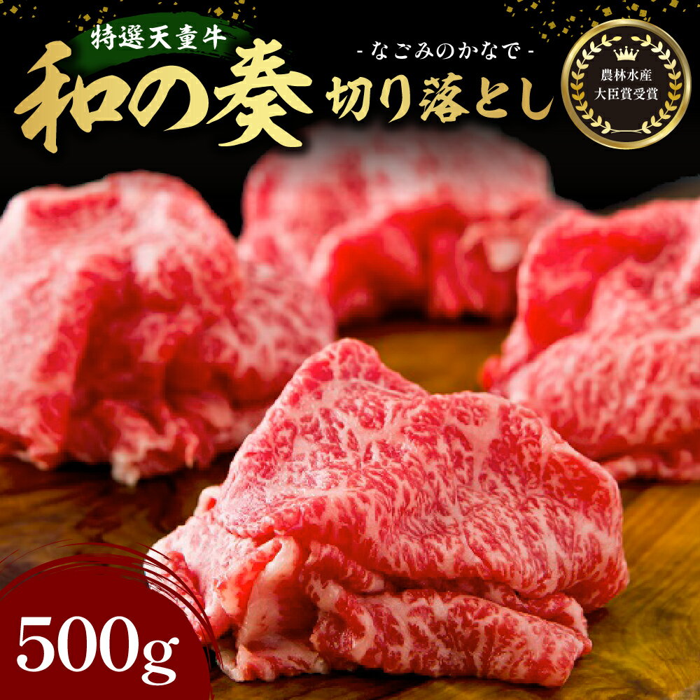 農林水産大臣賞受賞 特選 天童牛 " 和の奏 " 切り落とし 500g 国産 黒毛和牛 和牛 牛肉 肩 もも バラ ブランド牛 山形牛 すき焼き 肉じゃが 国産飼料 ご家庭用 のし 贈答 お取り寄せ 冷凍 送料無料 なごみ農産 [ 山形県 天童市 ]
