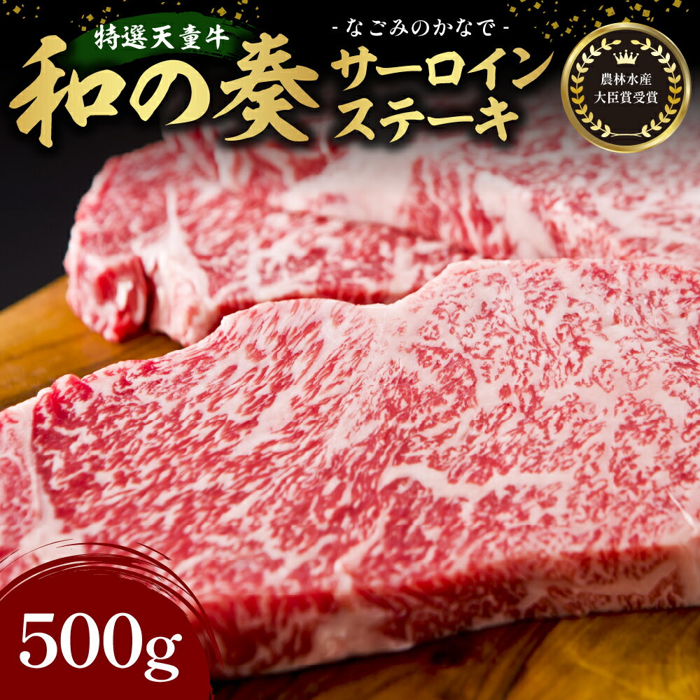 農林水産大臣賞受賞 特選 天童牛 " 和の奏 " サーロイン ステーキ 500g 国産 黒毛和牛 和牛 牛肉 ブランド牛 山形牛 国産飼料 ご家庭用 のし 贈答 ギフト お取り寄せ グルメ 冷凍 送料無料 なごみ農産 [ 山形県 天童市 ]