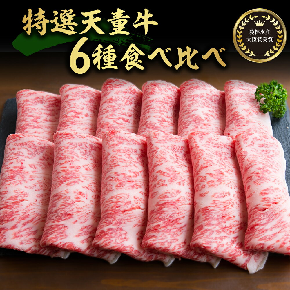 農林水産大臣賞 受賞 特選 天童牛 6種 食べ比べ セット 国産 黒毛和牛 和牛 牛肉 ブランド牛 山形牛 和の奏 国産飼料 ご家庭用 のし 贈答 お取り寄せ グルメ 冷凍 送料無料 [ 山形県 天童市 ]