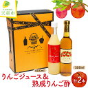 【ふるさと納税】オリジナル りんごジュース＆りんご酢お酢 リンゴジュース セット 600ml 500ml 炭酸割り ドレッシング お取り寄せ ギ..