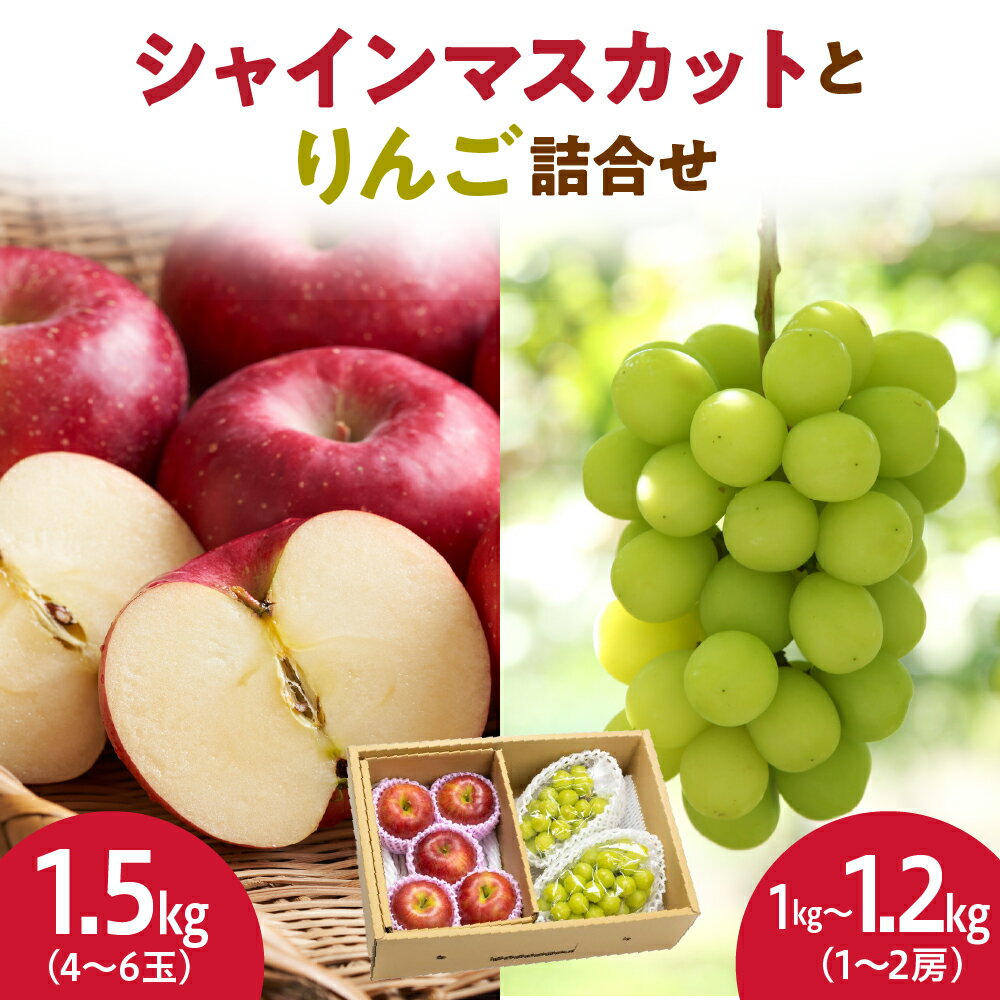 シャインマスカット と りんご 詰合せ 2.5kg 令和8年産 先行予約 2026年 ぶどう 林檎 人気 おすすめ フルーツ 果物 くだもの 山形 お取り寄せ 産地直送 送料無料 [ 山形県 天童市 ]