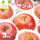 【ふるさと納税】 りんご ( サンふじ ) 3kg ふじ りんご 果物 フルーツ 秀 10玉 〜 11玉 のし 贈答 ギフト プレゼント おすそ分け お取り寄せ...