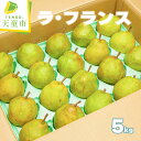 【ふるさと納税】 ラ・フランス 5kg ラフランス 洋梨 果物 フルーツ 秀 18玉 〜 20玉 ご家庭用 のし 贈答 ギフト プレゼント おすそ分け お取り寄...