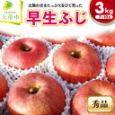 【ふるさと納税】 りんご ( 早生ふじ ) 3kg ふじ リンゴ わせふじ 果物 フルーツ 秀 7〜10玉 のし 贈答 ギフト プレゼント おすそ分け お取り寄...