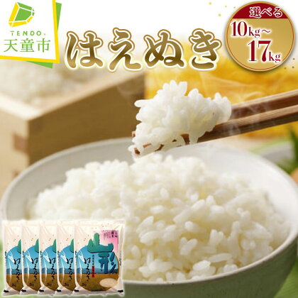 はえぬき 選べる内容量 10kg / 2kg×5袋　17kg / 5kg×3袋、2kg×1袋令和5年産 米 コメ こめ お米 精米 ブランド米 食べ比べ ごはん 白米 ご飯 おにぎり 弁当 おすそ分け 2kg 5kg ずつ 小分け 便利 お取り寄せ 食品 送料無料 【 山形県 天童市 】