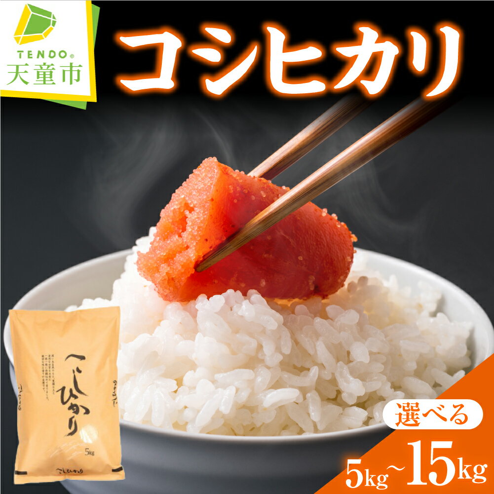 【ふるさと納税】 コシヒカリ 選べる 5kg / 10kg / 15kg 令和7年産 米 新米 2025年 コメ こめ おこめ 精米 特別栽培米 ブランド米 ごはん 白米 ご飯 おにぎり 弁当 5kg 袋 小分け 便利 おすそ分け お取り寄せ 食品 産地直送 送料無料 【 山形県 天童市 】