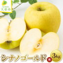 【ふるさと納税】 りんご シナノゴールド 3kg リンゴ 果物 フルーツ 秀 のし 贈答 ギフト プレゼント おすそ分け お取り寄せ 旬 秋 冬 期間限定 送料...