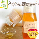 【ふるさと納税】 さくらんぼ はちみつ 500g 蜂蜜 成分無添加 加工品 ご当地 ご家庭用 のし 贈答 ギフト プレゼント お取り寄せ 送料無料 天童市観光物...