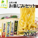 【ふるさと納税】 山形の麺お楽しみセット 選べる 20人前 / 40人前 乾麺 鳥中華 山形牛ラーメン 冷たい ラーメン 肉そば スープ付き ご当地グルメ おす...