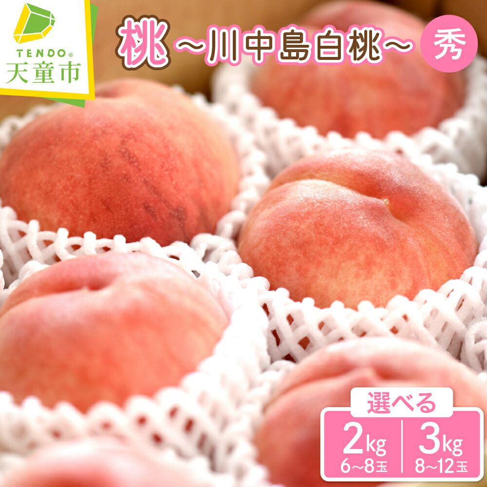 もも ( 川中島白桃 ) 2kg / 3kg 山形県産 桃 白桃 果物 フルーツ 秀品 大玉 糖度13度以上 2kg 6〜8玉 / 3kg 8〜12玉 ご家庭用 のし 贈答 ギフト おすそ分け 旬 夏 秋 期間限定 冷蔵便 送料無料 先行予約 [ 山形県 天童市 ]