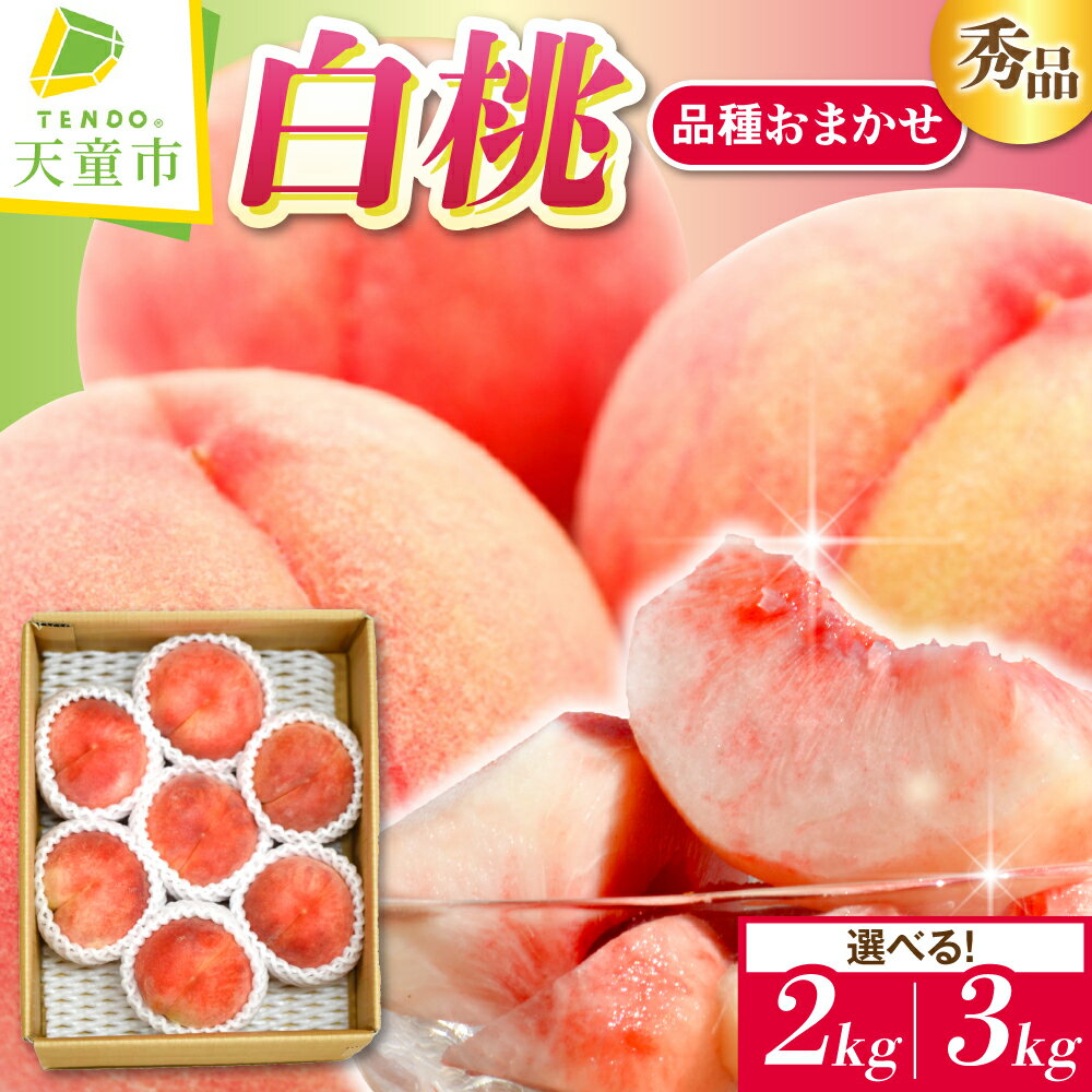 白桃 ( 品種 おまかせ ) 選べる 2kg / 3kg 秀品 令和8年産 先行予約 2026年 山形県産 桃 果物 フルーツ のし 贈答 ギフト おすそ分け 期間限定 冷蔵便 送料無料 産地直送 お取り寄せ [ 山形県 天童市 ]