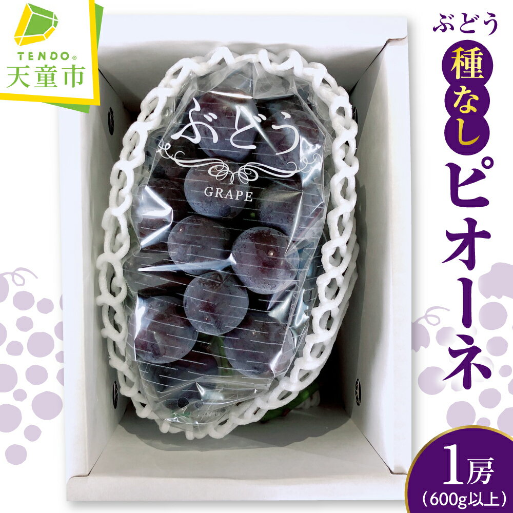 【ふるさと納税】ぶどう ( 種なし ピオーネ ) 600g 以上 1房 令和8年産 先行予約 2026年 葡萄 人気 おすすめ フルーツ 果物 くだもの 山形 お取り寄せ 産地直送 送料無料 【 山形県 天童市 】
