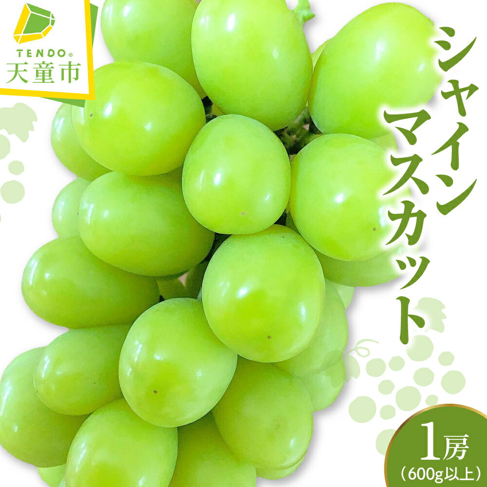 シャインマスカット 1房 ( 600g 以上 ) 令和8年産 先行予約 2026年 ぶどう 人気 おすすめ フルーツ 果物 くだもの 山形 お取り寄せ 産地直送 送料無料 [ 山形県 天童市 ]