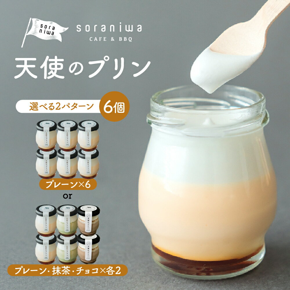 天使のプリン 6個 選べる 2パターン プリン スイーツ 洋菓子 プレーン 抹茶 チョコ 冷凍 送料無料 [ 山形県 天童市 ]
