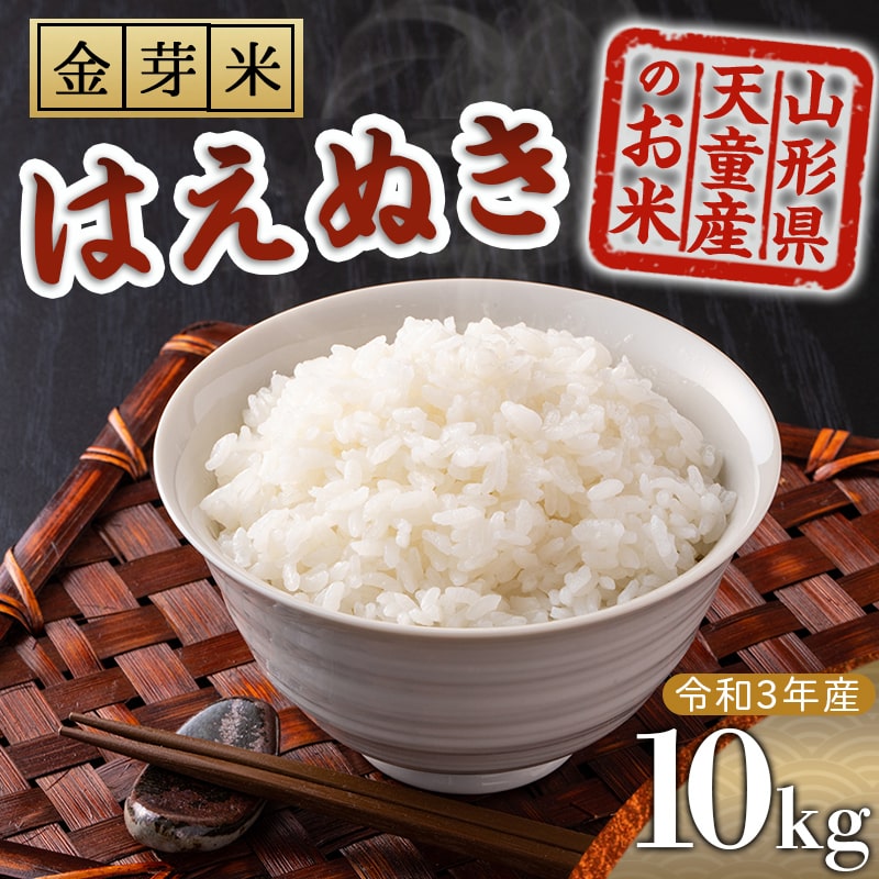 【ふるさと納税】金芽米はえぬき10kg【山形県 天童市】