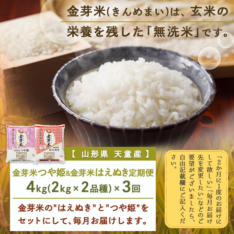 【ふるさと納税】金芽米つや姫&金芽米はえぬき定期便(各2kg)3回お届け【山形県 天童市】