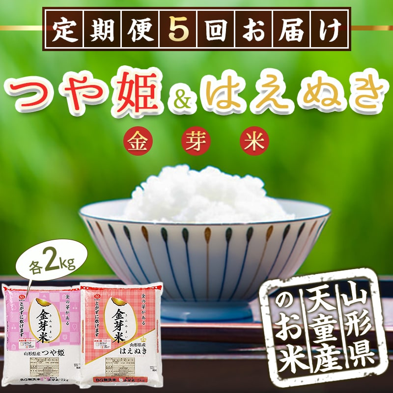 【ふるさと納税】金芽米つや姫&金芽米はえぬき定期便(各2kg)5回お届け【山形県 天童市】