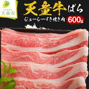 山形牛 【ふるさと納税】 天童牛 ジューシー すき焼き 肉 ( ばら ) 600g国産 黒毛和牛 和牛 牛肉 ブランド牛 山形牛 贈答用 お中元 お歳暮 ギフト プレゼント お取り寄せ ご当地 グルメ 食品 冷凍 送料無料【山形県 天童市】