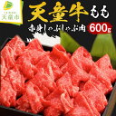 山形牛 【ふるさと納税】天童牛 もも 赤身 600g しゃぶしゃぶ肉 国産 黒毛和牛 和牛 牛肉 ブランド牛 山形牛 もも肉 ヘルシー 肉 冷凍 お鍋 ご家庭用 ギフト プレゼント 贈答用 お中元 お歳暮 お取り寄せ グルメ 食品 送料無料【山形県 天童市】