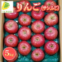 【ふるさと納税】 りんご サンふじ 5kg ふじ りんご 果物 フルーツ 秀 16玉 〜 18玉 のし 贈答 ギフト プレゼント おすそ分け お取り寄せ 旬 秋...