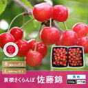 【ふるさと納税】A-0623 2019年GI制度登録「東根さ...