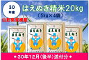 【ふるさと納税】A-328 30年産はえぬき精米20kg(3...