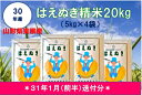 【ふるさと納税】A-329 30年産はえぬき精米20kg(3...