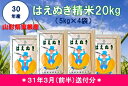 【ふるさと納税】A-333 30年産はえぬき精米20kg(3...
