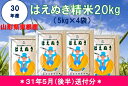 【ふるさと納税】A-338 30年産はえぬき精米20kg(3...