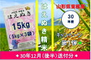 【ふるさと納税】A-450 30年産はえぬき精米15kg(3...