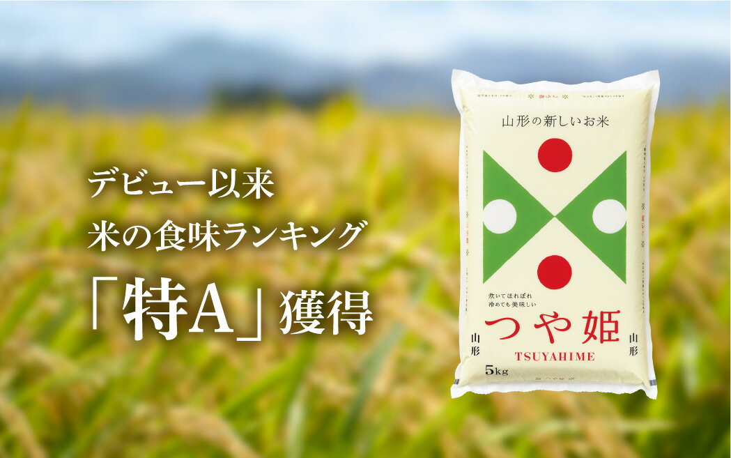 【ふるさと納税】米【定期便】つや姫20kg×3回 （送付時期が選べます) 令和4年産