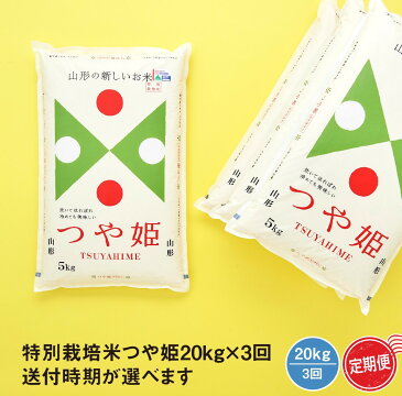 【ふるさと納税】米【定期便】つや姫20kg×3回 （送付時期が選べます) 令和4年産