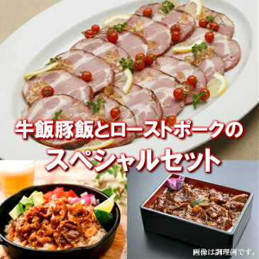 【ふるさと納税】A-0129　かんたん本格調理　牛飯豚飯とローストポークのスペシャルセット