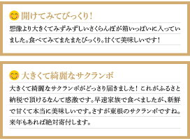 【ふるさと納税】GI「東根さくらんぼ」佐藤錦1kgバラ詰めJA産直提供(2021年6月中旬〜下旬送付)秀(着色面積70%)以上L(直径22mm)以上P-1515