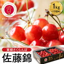 ランキング 1位 獲得 GI「東根さくらんぼ」 佐藤錦 1kg バラ詰め / さくらんぼ チェリー フルーツ 果物 くだもの 化粧箱 箱入り 大容量 お取り寄せ グルメ ご当地 特産 産地 直送 先行予約 期間限定 送料無料 山形県 東根市