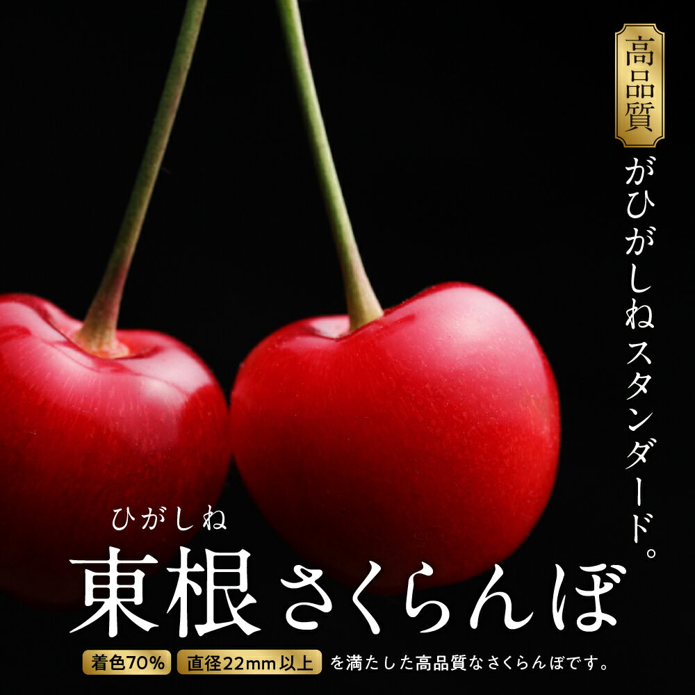 【ふるさと納税】＼レビューキャンペーン／さくらんぼ 佐藤錦 2024年産 秀品 500g L サイズ 以上 先行予約サクランボ フルーツ 果物 くだもの 小分け 箱入り 化粧箱 特産 産地 直送 送料無料 期間限定 大容量 冷蔵配送 山形県 東根市 6/7(金)～6/25(火)順次出荷