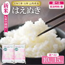 【ふるさと納税】はえぬき 10kg と 15kg が選べる 発送時期が選べる 令和5年産 令和6年産 先行予約お米 米 精米 白米 2023年産 2024年産 ブランド米 ご飯 おにぎり 弁当 小分け 便利 個包装 お取り寄せ グルメ ご当地 特産 産地直送 送料無料 東北 山形県 東根市